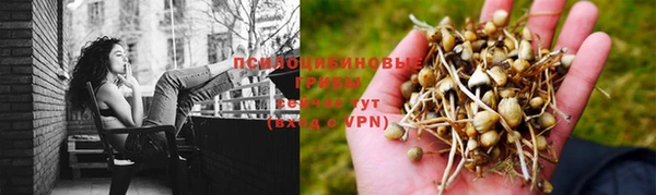 амф Алзамай