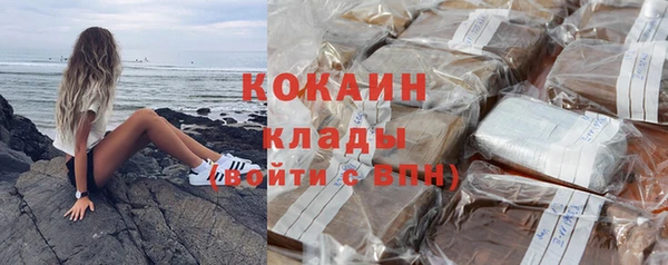 амф Алзамай