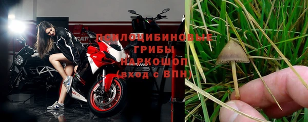 шишки Пересвет