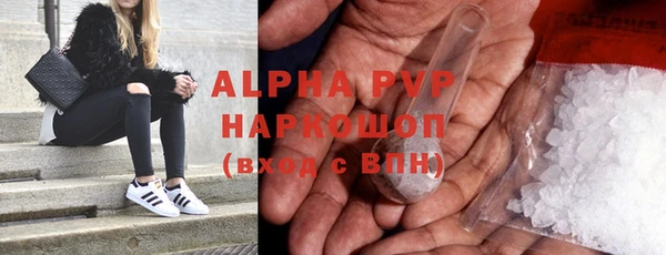 шишки Пересвет
