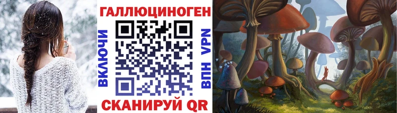 Псилоцибиновые грибы Magic Shrooms  Аркадак 